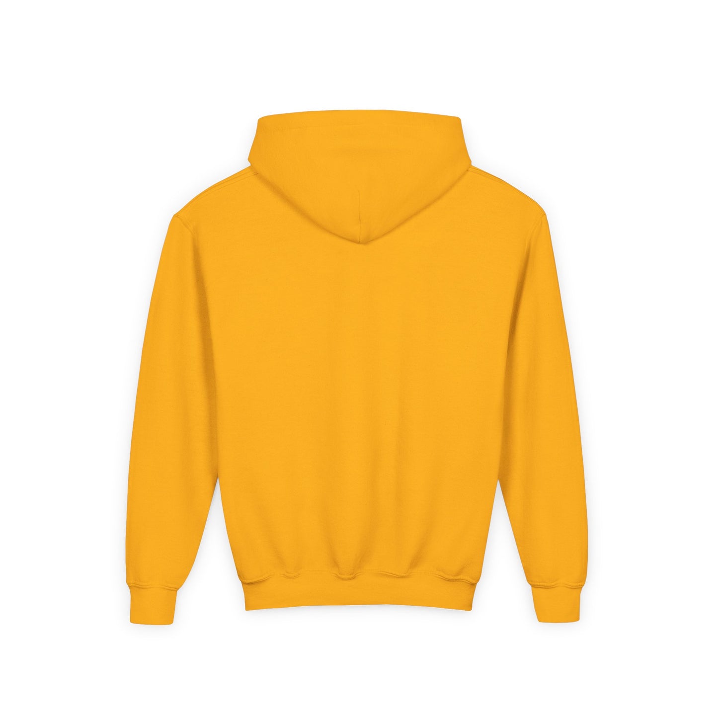 California The Golden State of AI Youth Hoodie